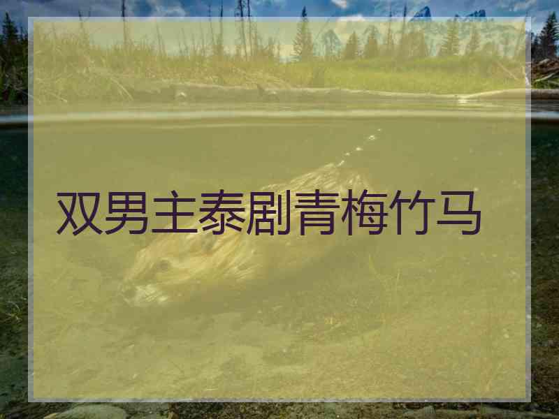 双男主泰剧青梅竹马
