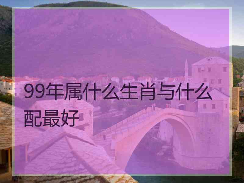 99年属什么生肖与什么配最好