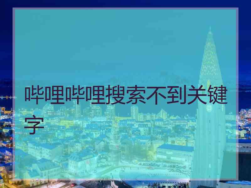 哔哩哔哩搜索不到关键字