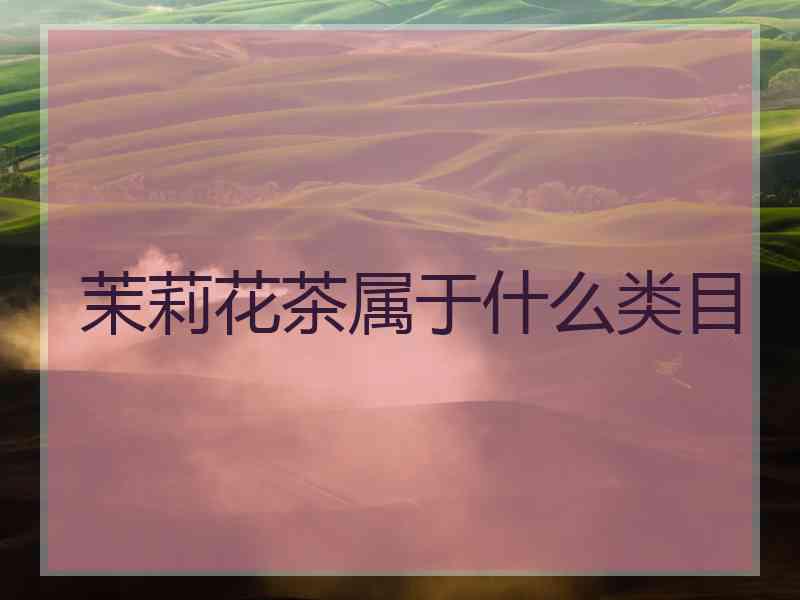 茉莉花茶属于什么类目