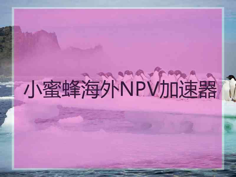 小蜜蜂海外NPV加速器