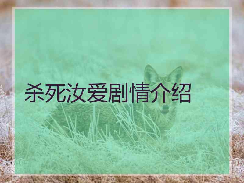 杀死汝爱剧情介绍