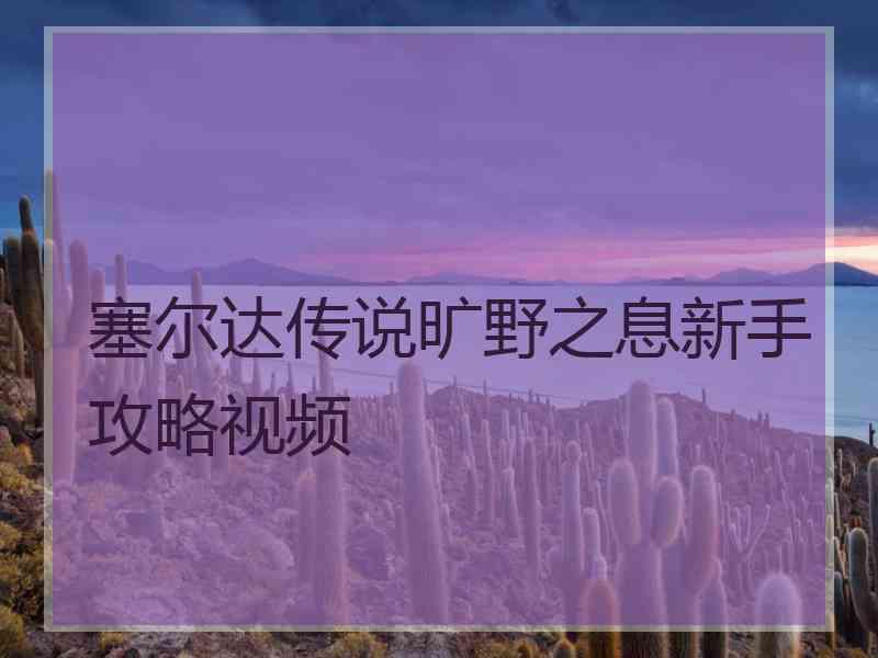塞尔达传说旷野之息新手攻略视频