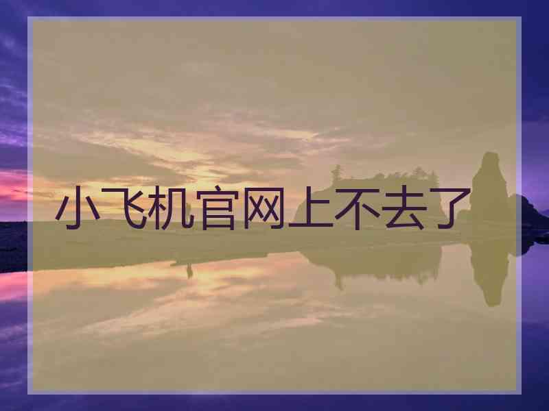 小飞机官网上不去了