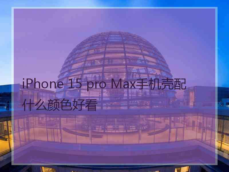 iPhone 15 pro Max手机壳配什么颜色好看