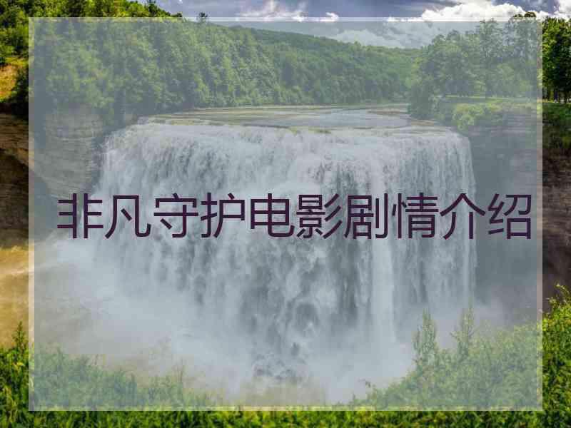 非凡守护电影剧情介绍