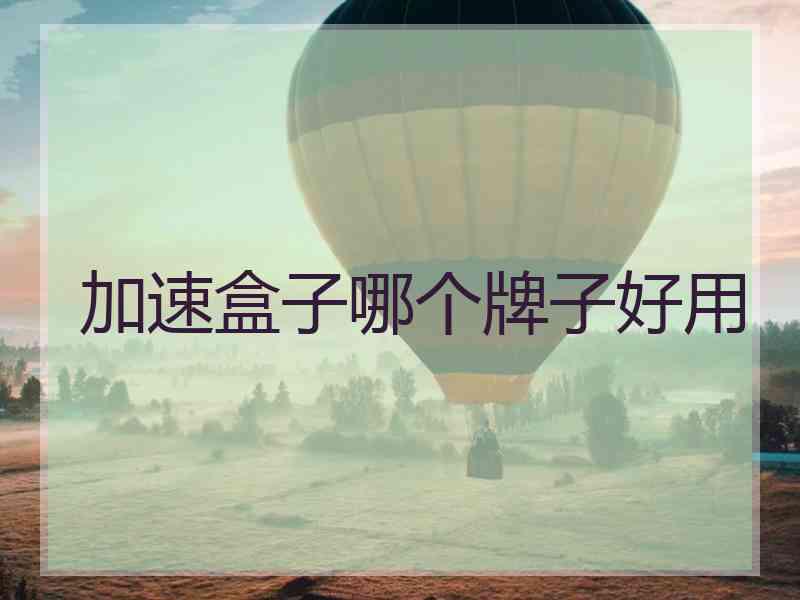 加速盒子哪个牌子好用