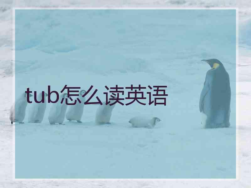 tub怎么读英语