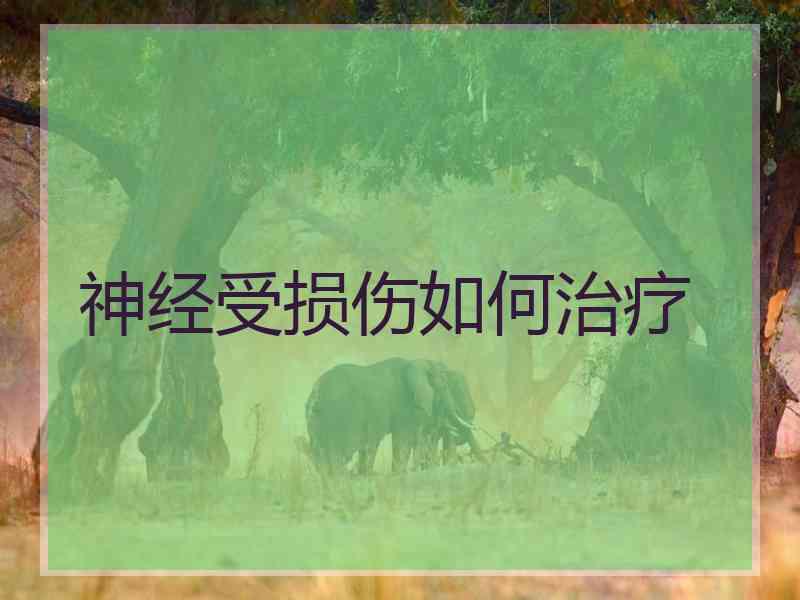 神经受损伤如何治疗