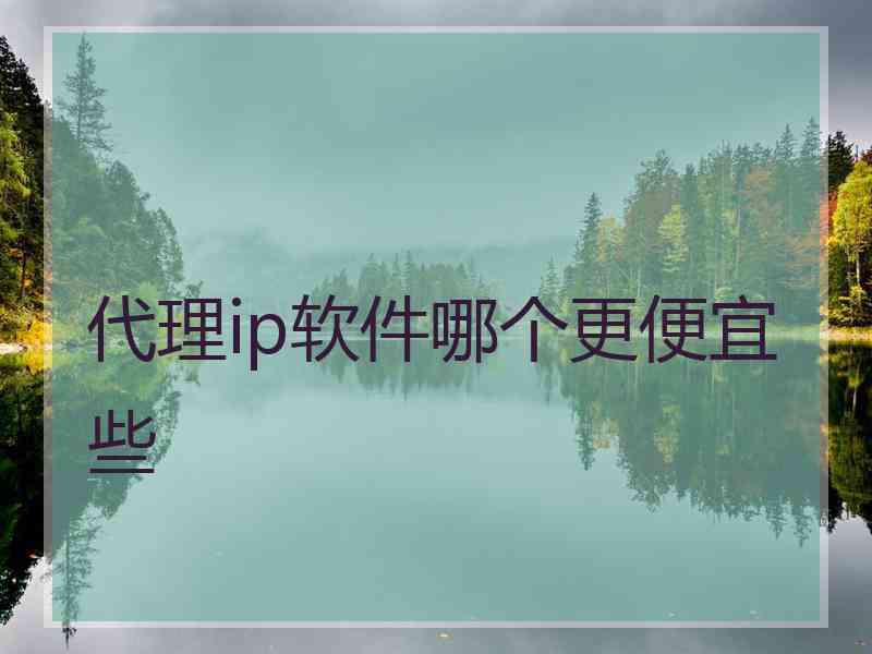 代理ip软件哪个更便宜些