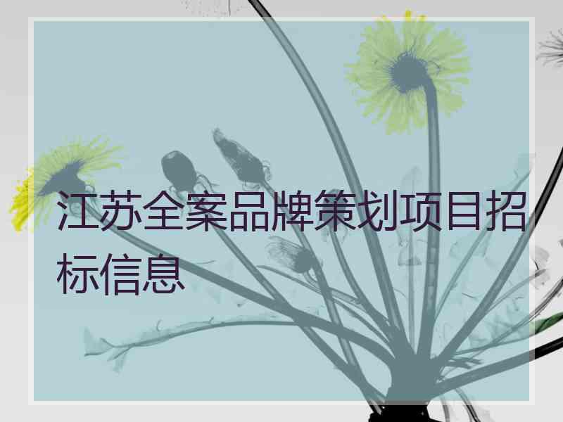 江苏全案品牌策划项目招标信息