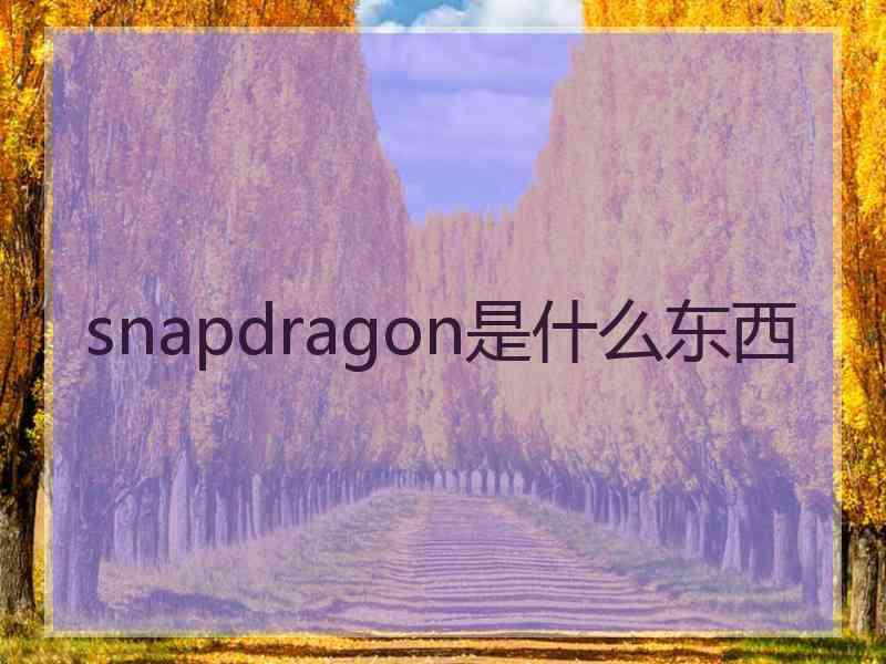 snapdragon是什么东西