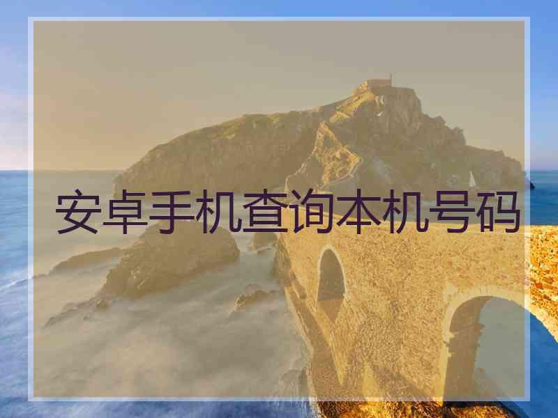 安卓手机查询本机号码