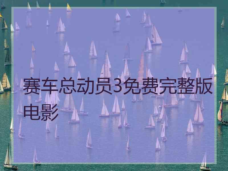 赛车总动员3免费完整版电影