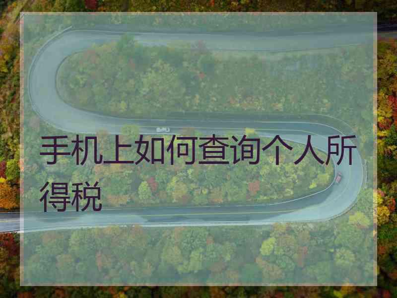 手机上如何查询个人所得税