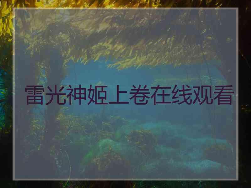 雷光神姬上卷在线观看
