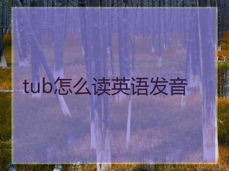 tub怎么读英语发音
