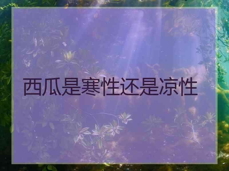 西瓜是寒性还是凉性