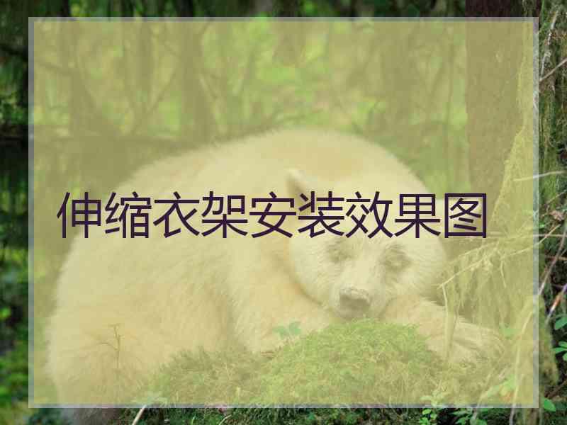 伸缩衣架安装效果图