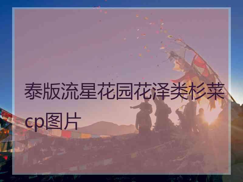 泰版流星花园花泽类杉菜cp图片