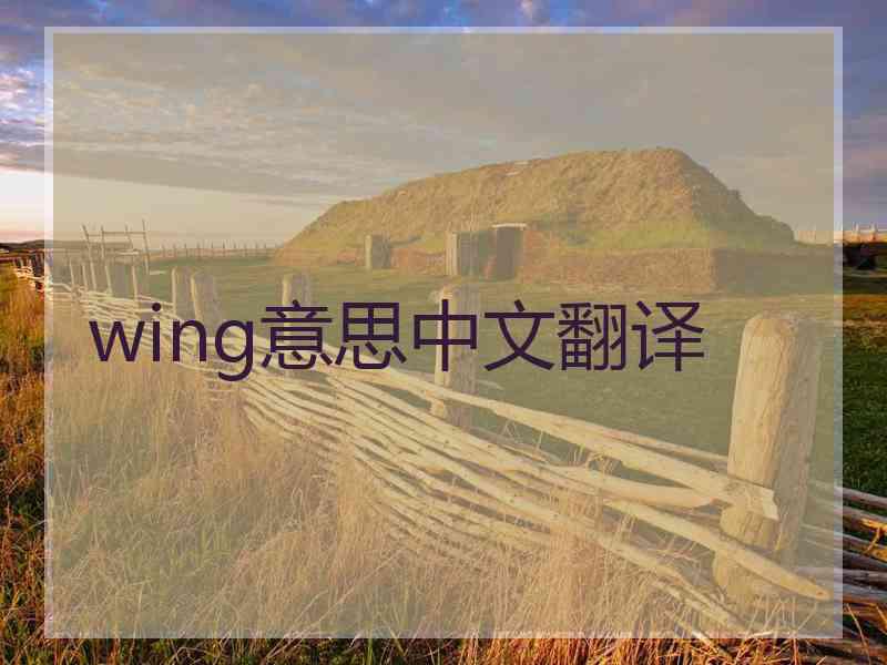 wing意思中文翻译