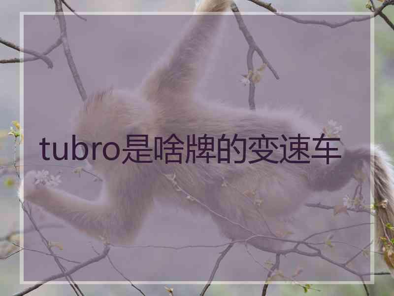 tubro是啥牌的变速车