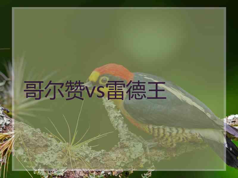 哥尔赞vs雷德王