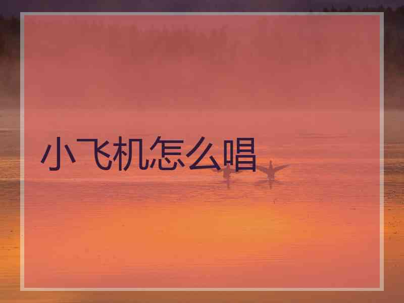小飞机怎么唱
