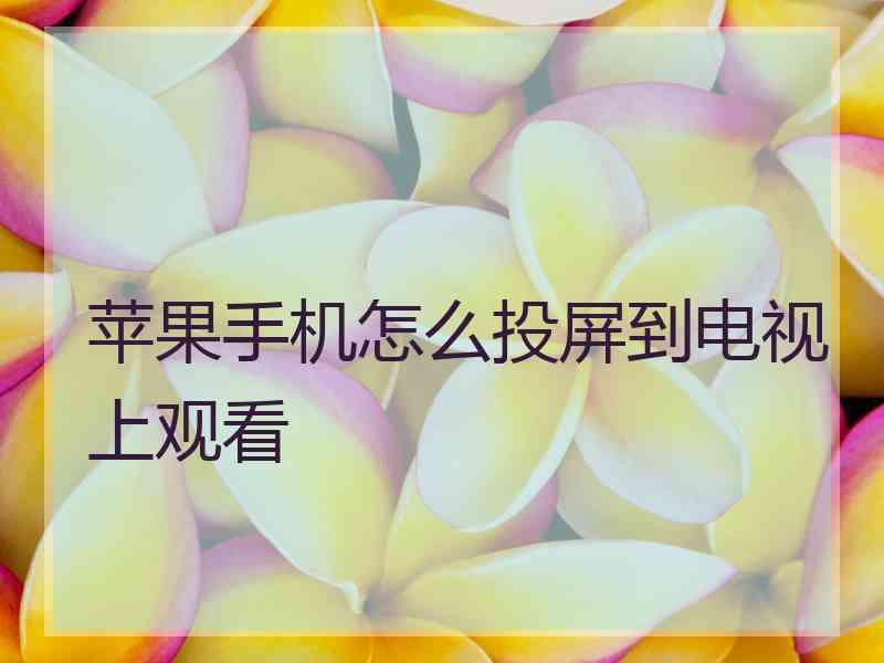 苹果手机怎么投屏到电视上观看