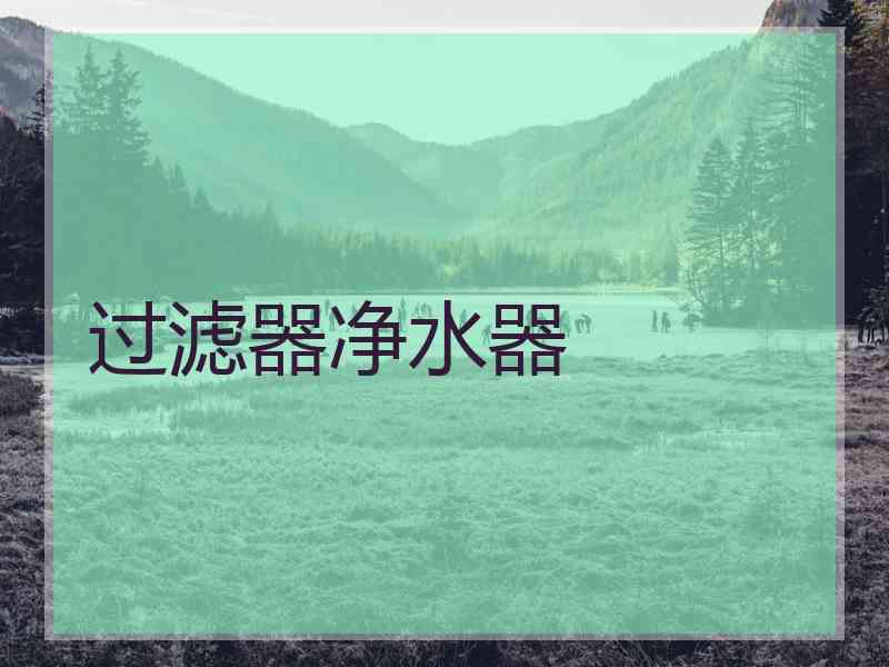 过滤器净水器