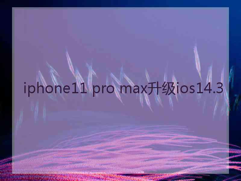 iphone11 pro max升级ios14.3
