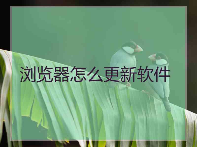 浏览器怎么更新软件