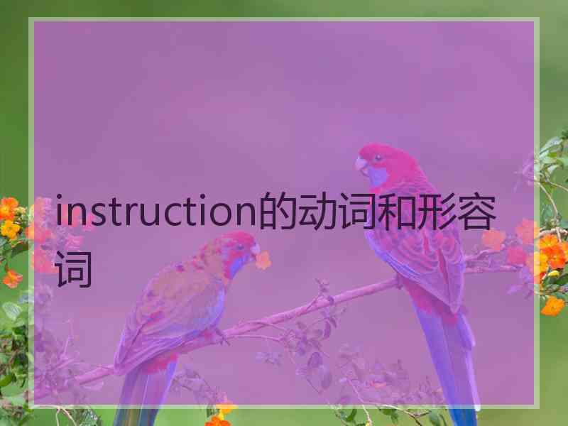 instruction的动词和形容词