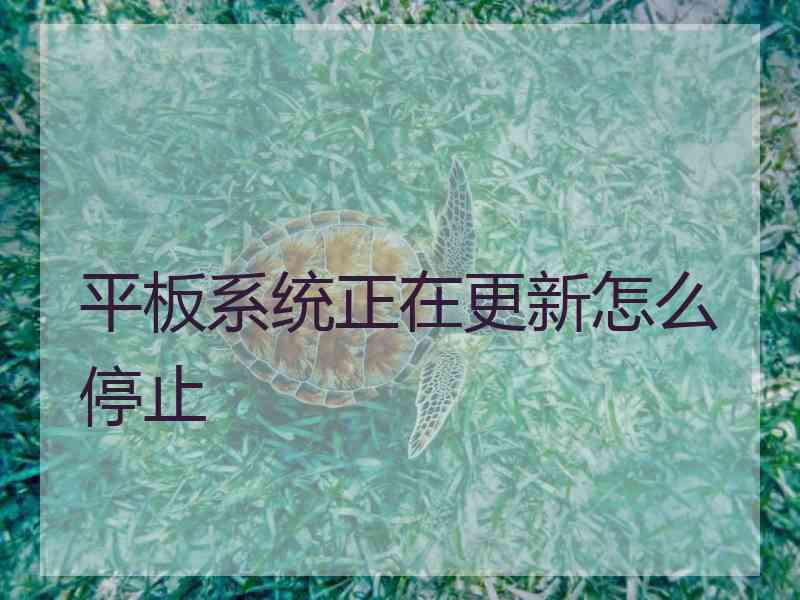 平板系统正在更新怎么停止