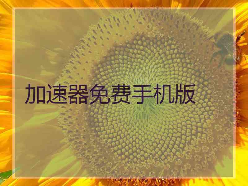加速器免费手机版