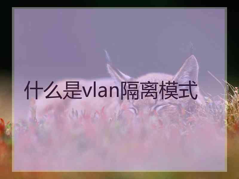 什么是vlan隔离模式
