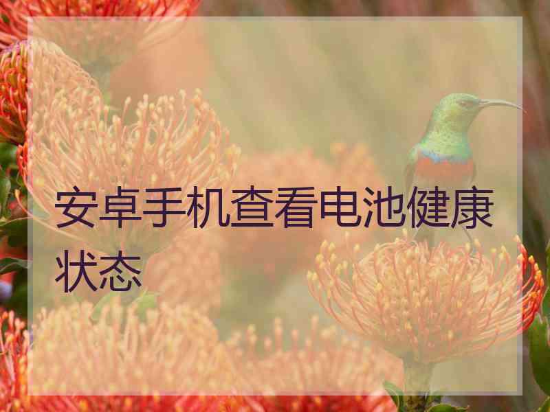 安卓手机查看电池健康状态