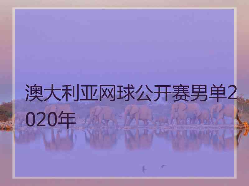 澳大利亚网球公开赛男单2020年