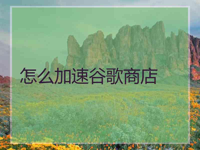 怎么加速谷歌商店