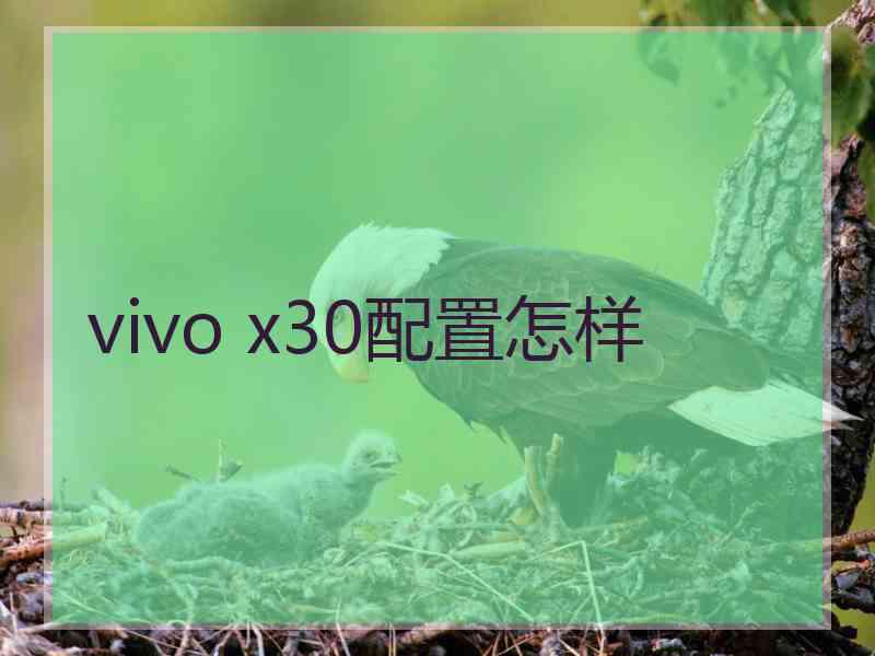 vivo x30配置怎样