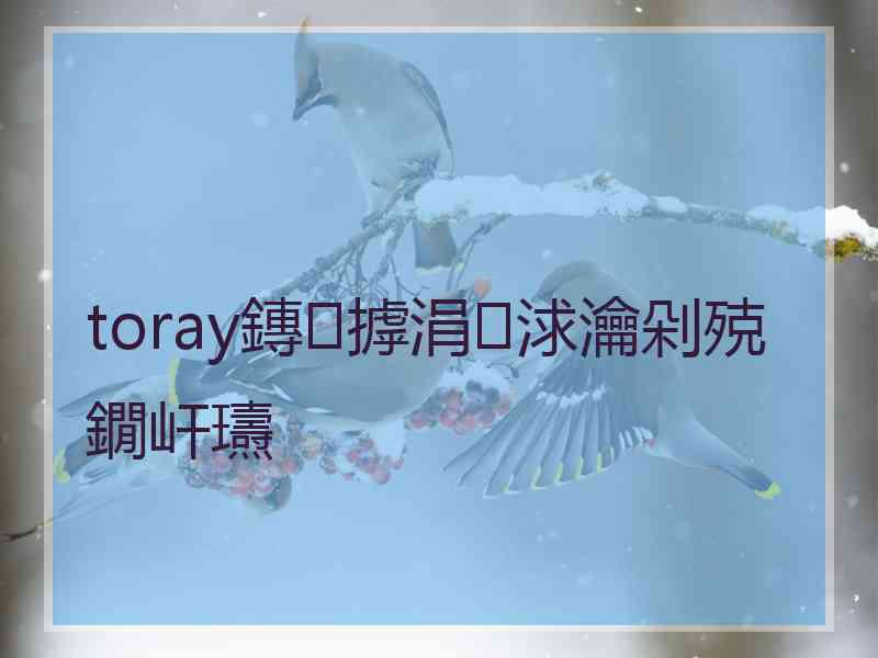 toray鏄摢涓浗瀹剁殑鐗屽瓙