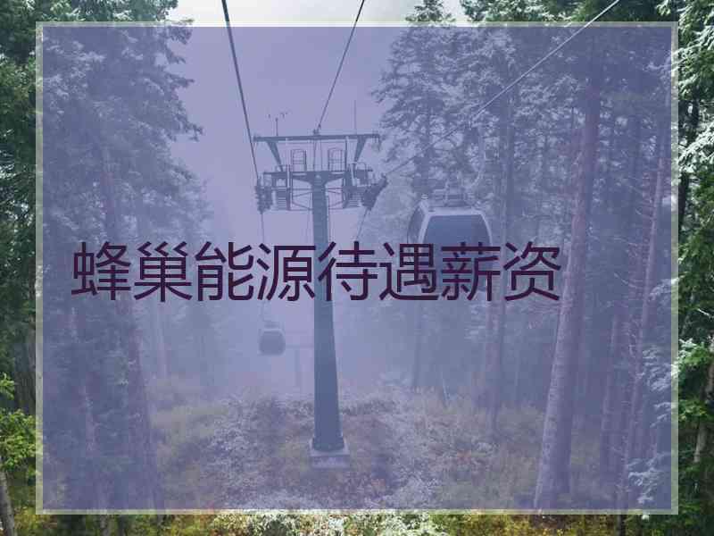 蜂巢能源待遇薪资