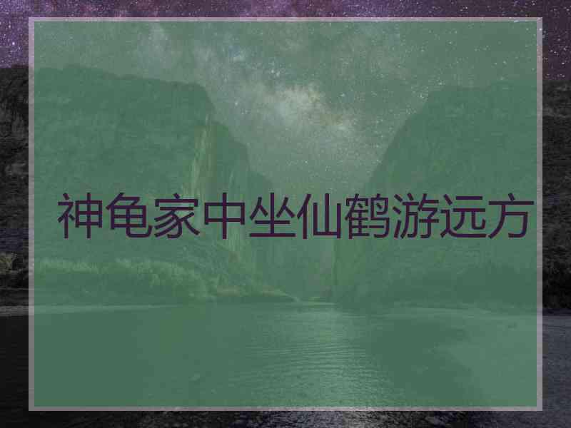 神龟家中坐仙鹤游远方