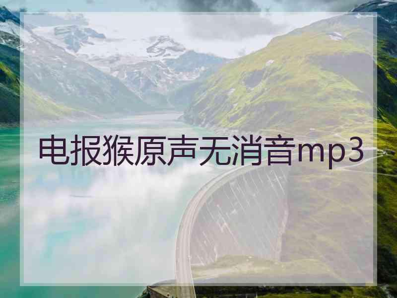 电报猴原声无消音mp3