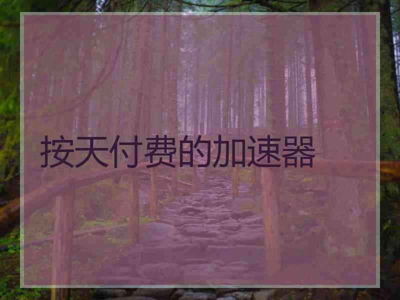 按天付费的加速器