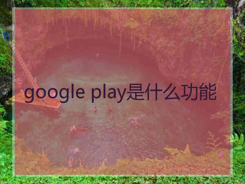 google play是什么功能