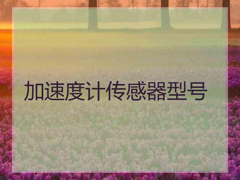 加速度计传感器型号