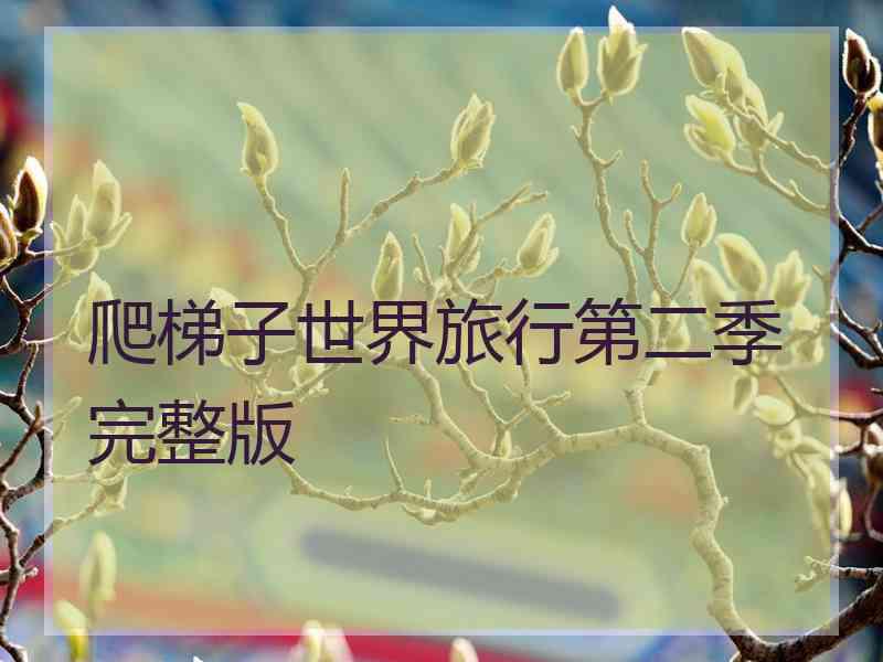 爬梯子世界旅行第二季完整版