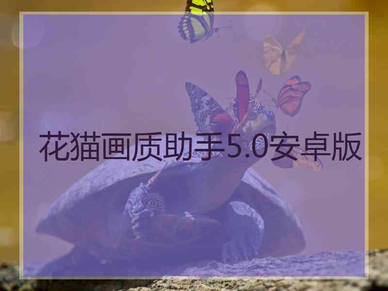 花猫画质助手5.0安卓版