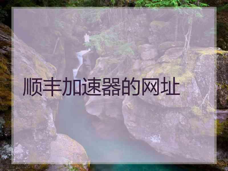 顺丰加速器的网址